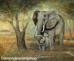 FULL diamond painting natural elephants L (SQUARE)