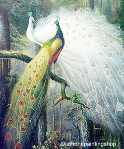 FULL diamond painting peacock color and white L (SQUARE) GERESERVEERD