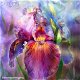 FULL diamond painting aquarel purple flower XL (SQUARE) - 0 - Thumbnail