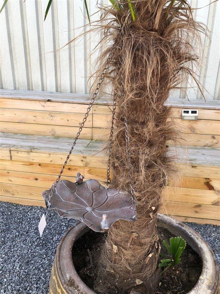 Hangvogelbad-vogel voederbak-hangketting--vogel - Afbeelding 2