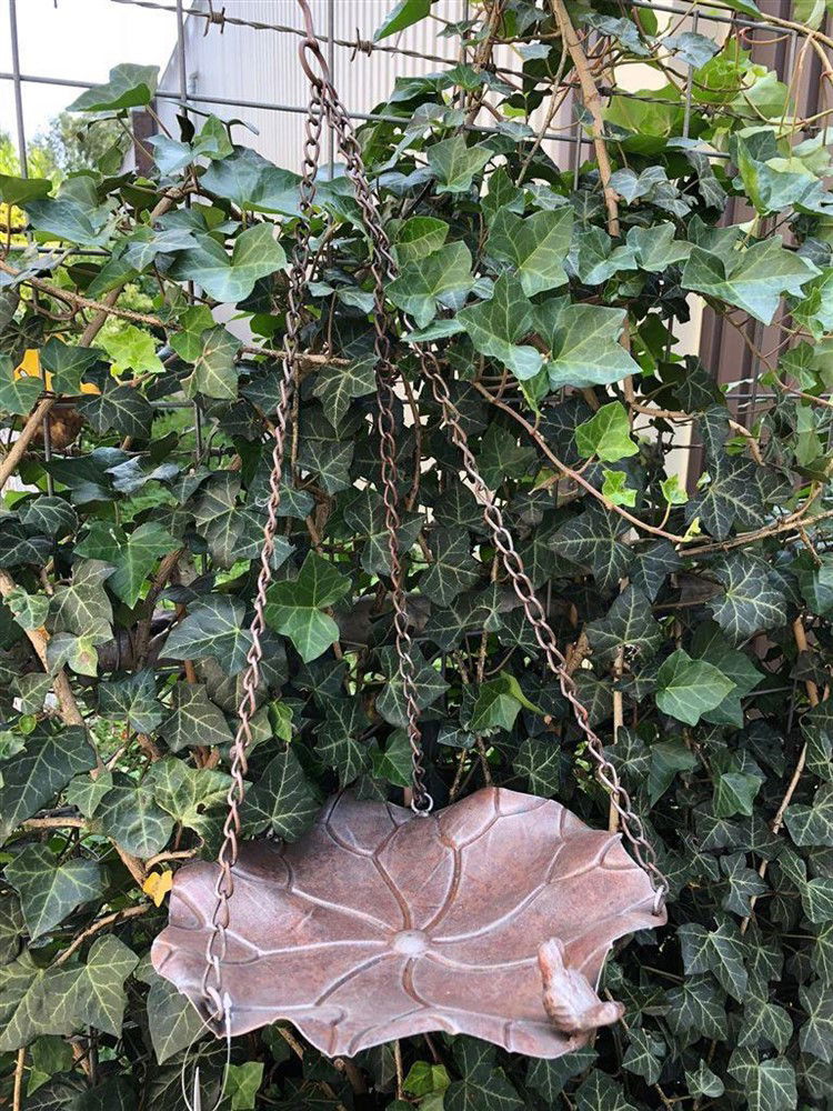 Hangvogelbad-vogel voederbak-hangketting--vogel - Afbeelding 5