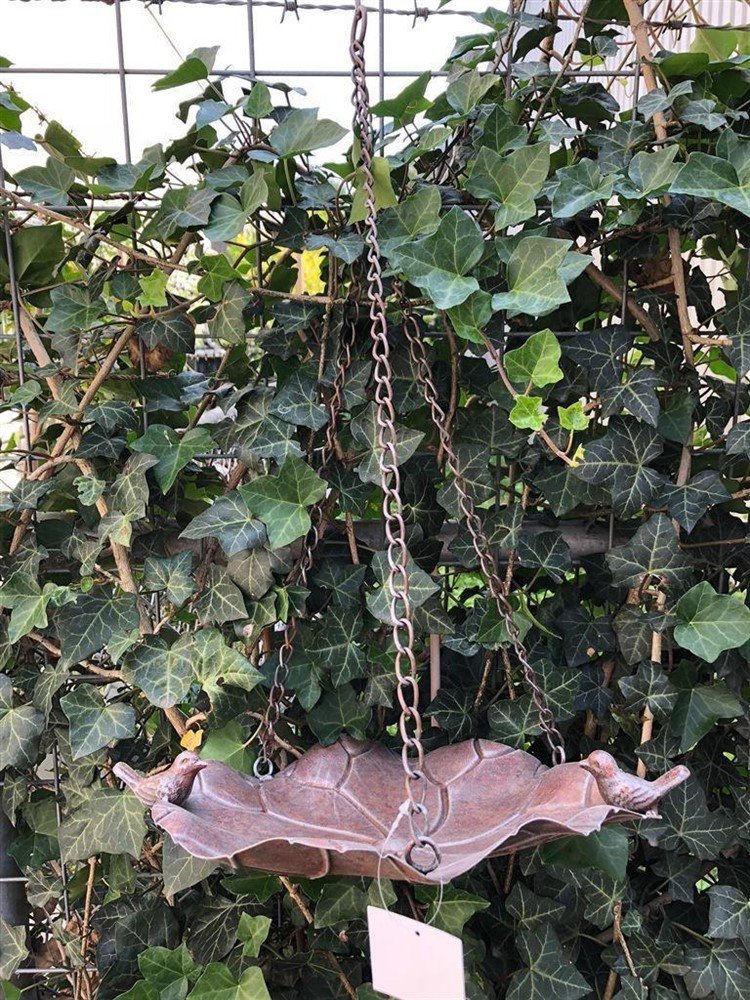 Hangvogelbad-vogel voederbak-hangketting--vogel - Afbeelding 7