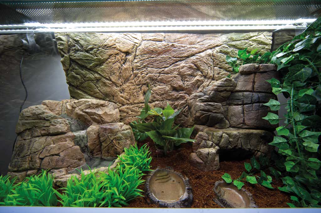 Mooie watervallen voor Terrarium of Paludarium - Afbeelding 4