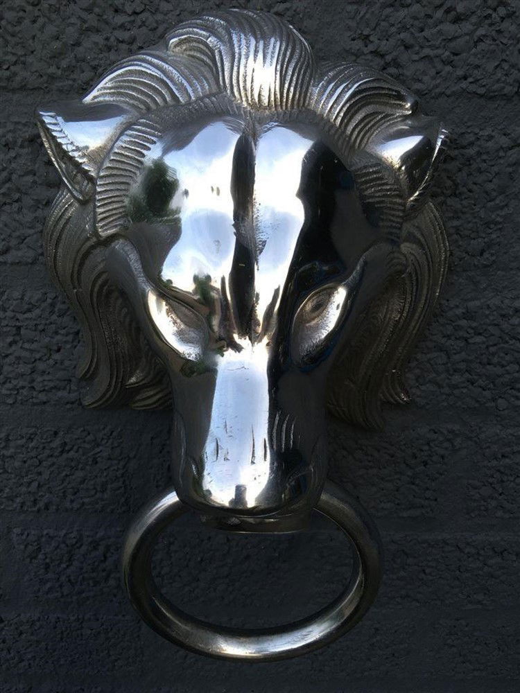 Mooie aluminium impressie volle leeuwenkop-leeuw-hoofd - Afbeelding 2