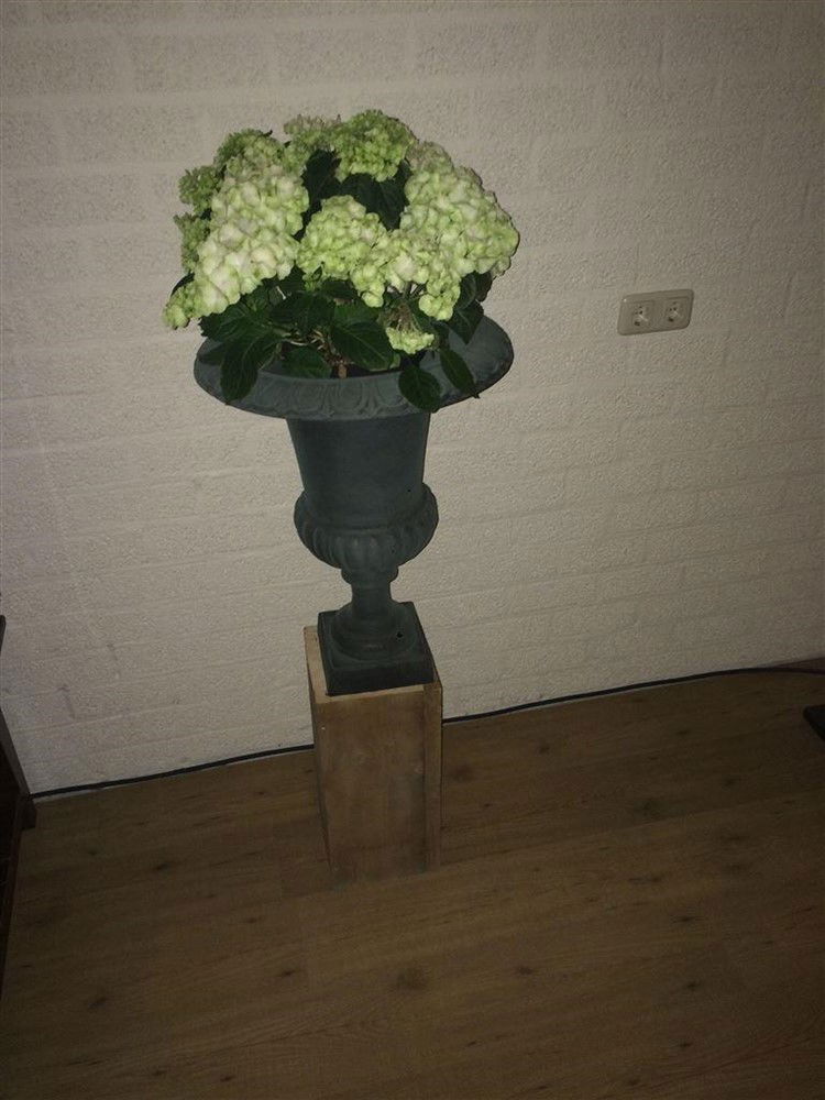 Mooie grote gietijzeren vaas-sokkel-vaas-hout-deco - Afbeelding 5