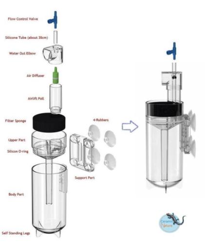 Ziss Aqua Egg Tumblers - Afbeelding 6