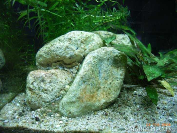 Aquarium/Terrarium decoratie-elementen. … - nr. 1