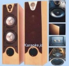 Speakers 2 x 180 Watt beuken houten kast op Spikes (017D)