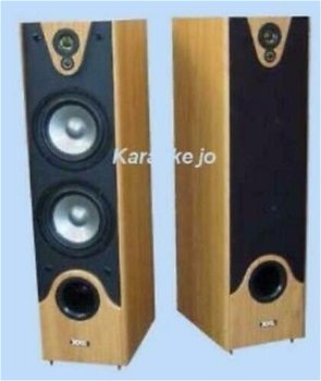 Speakers 2 x 180 Watt beuken houten kast op Spikes (017D) - 1