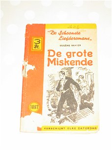 De Grote Miskende - Eugène Ravier