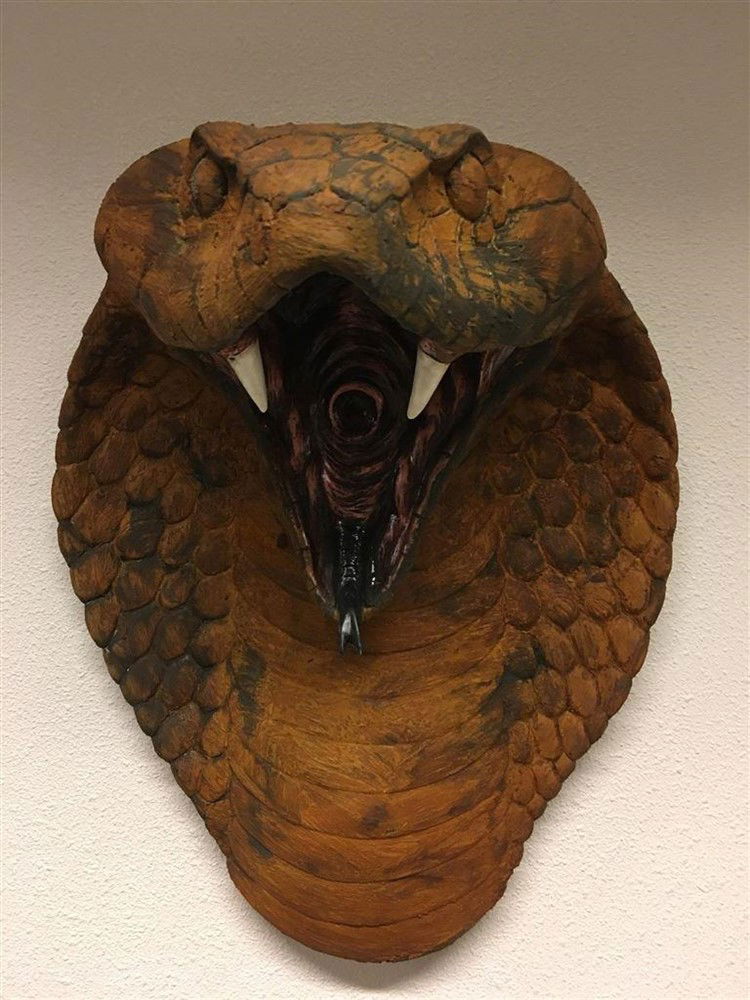 Grote imponerende oxide cobrakop, polystein-cobra - Afbeelding 2