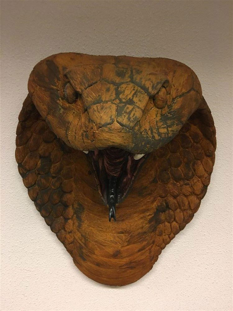 Grote imponerende oxide cobrakop, polystein-cobra - Afbeelding 3