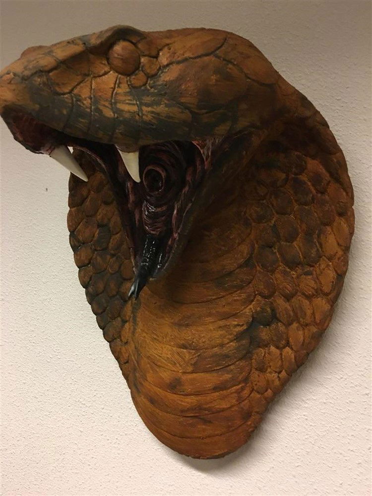 Grote imponerende oxide cobrakop, polystein-cobra - Afbeelding 4