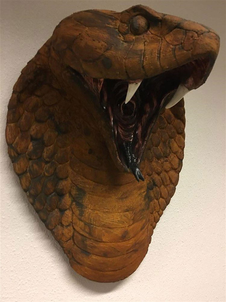 Grote imponerende oxide cobrakop, polystein-cobra - Afbeelding 6