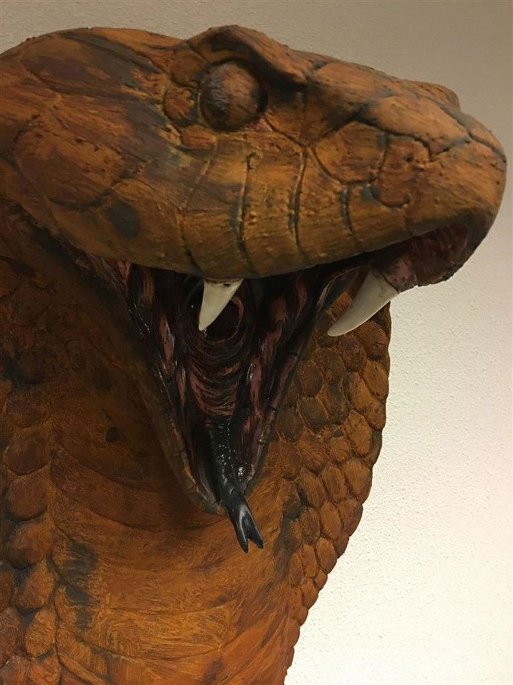 Grote imponerende oxide cobrakop, polystein-cobra - Afbeelding 7