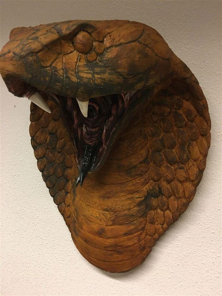 Grote imponerende oxide cobrakop, polystein-cobra - Afbeelding 8