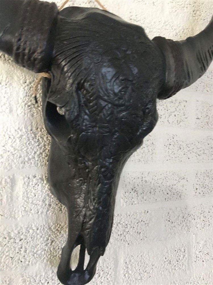 Indian stierenschedel zwart kleur-zwarte horens-schedel - Afbeelding 3