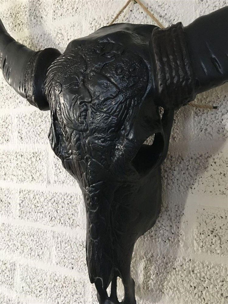 Indian stierenschedel zwart kleur-zwarte horens-schedel - Afbeelding 5
