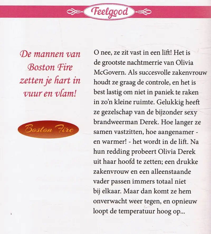 VERKOCHT Shannon Stacey = Van vonk naar vuur - HQN feelgood 27 - Afbeelding 2