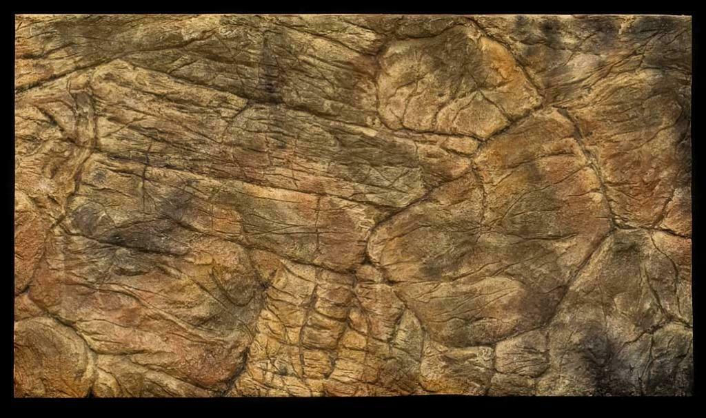 Decoratieve 3D Aquarium achterwanden type Thin - Afbeelding 5