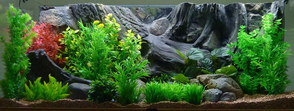 "Amazone" 3D polyester Aquarium achterwand 100x60 cm - nr. 1