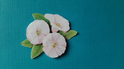 j59 Jeanine / bloemen
