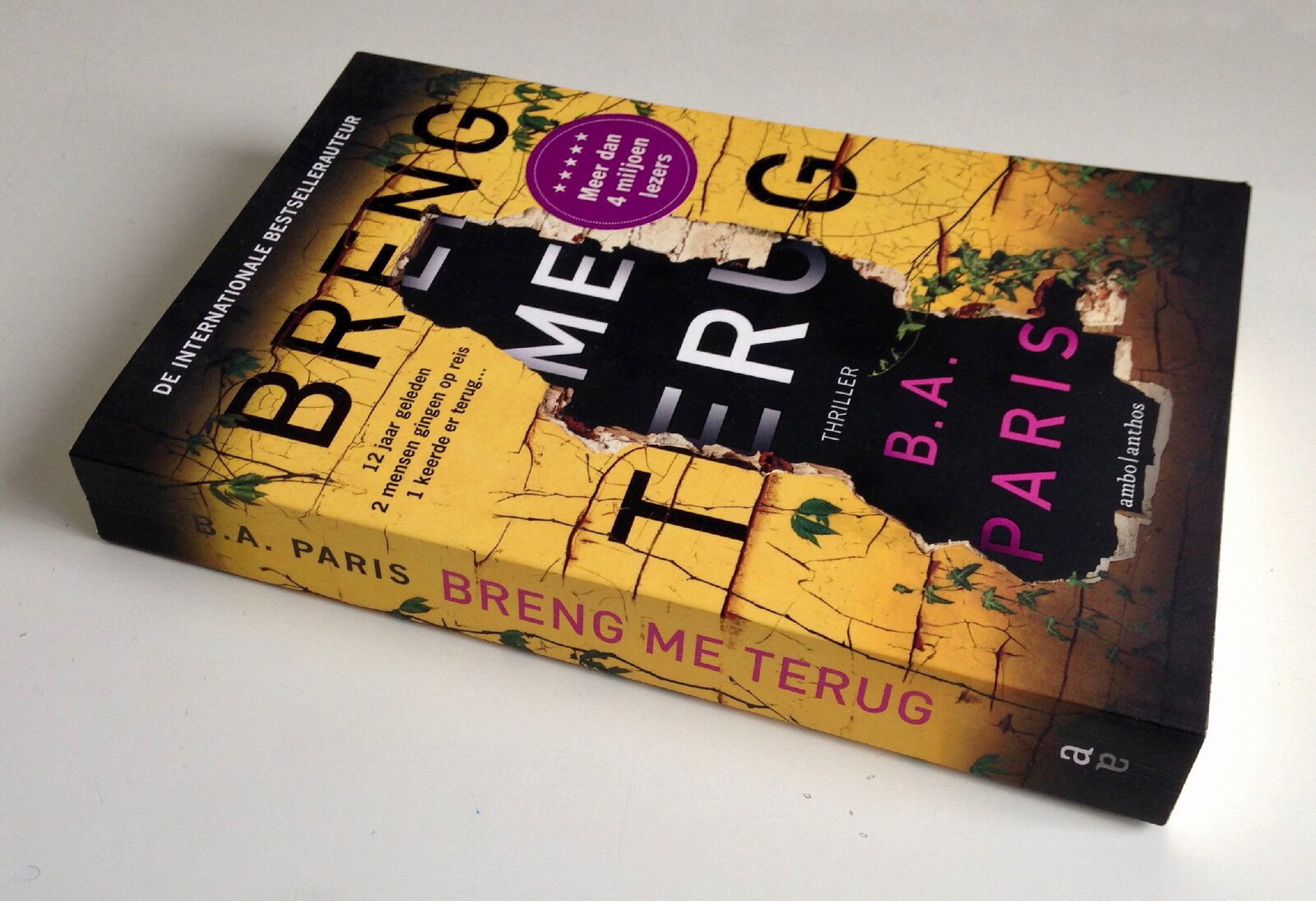 B.A. Paris - Breng me terug Thriller 2018 - Afbeelding 2
