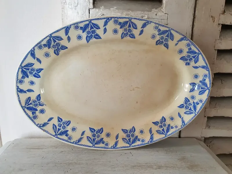 Deze ~ schaal ~ krijg je op een presenteerblaadje (2) - nr. 1