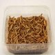 Te koop goede mooie levende reuze meelwormen - 2 - Thumbnail