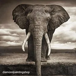 FULL diamond painting elephant