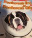 Beethoven 3 & 4 (2 DVD) - 0 - Thumbnail