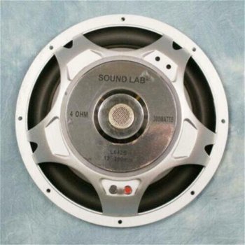 12 inch subwoofer 300 Watt 4 Ohm (L042BKJ) - 1