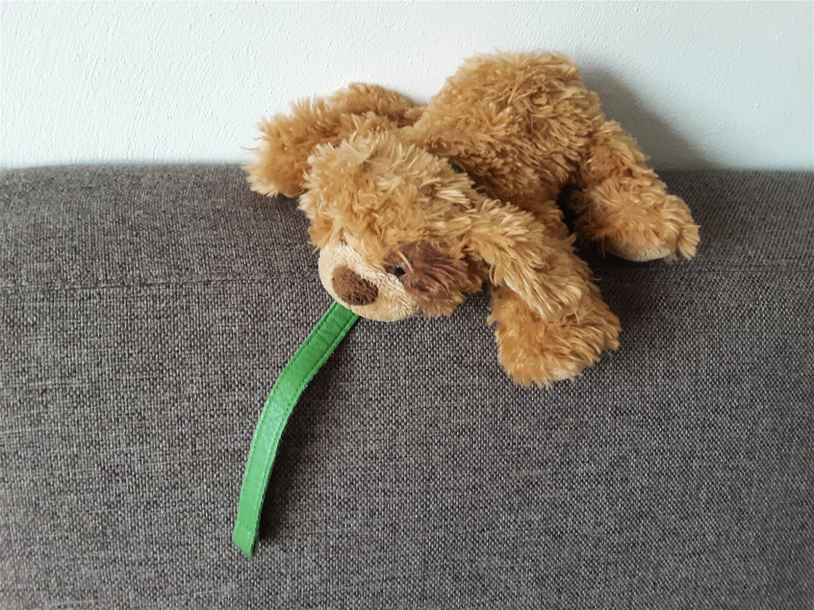 1641 Hond Harrods ligend met groene halsband23cm - nr. 1