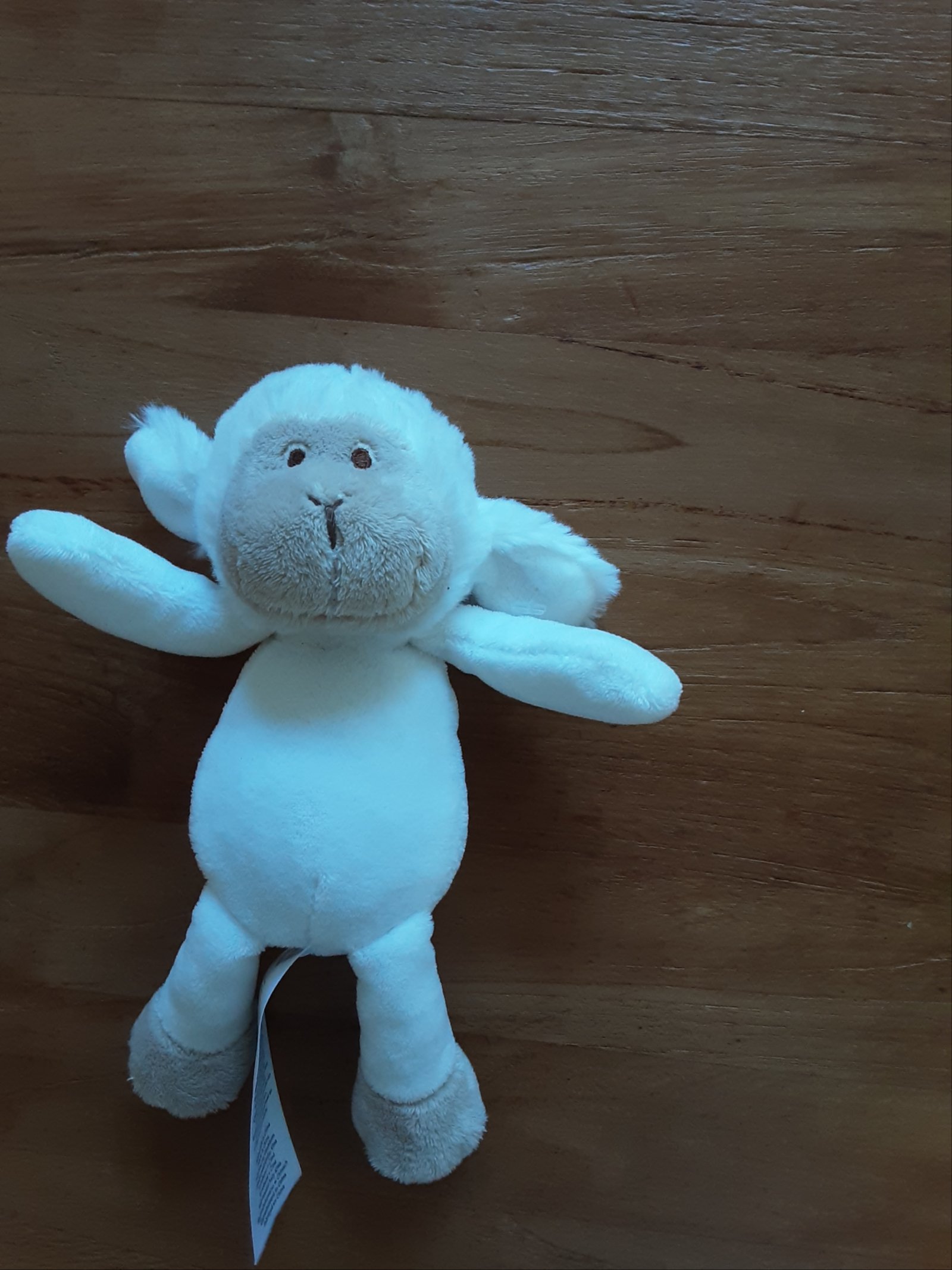 1657 Schaap Ergee 23cm knuffel Schaf Lamm - nr. 1