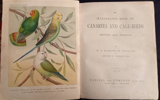 Illustrated Book of Canaries and Cage-brids [1877?] Blakston - 3