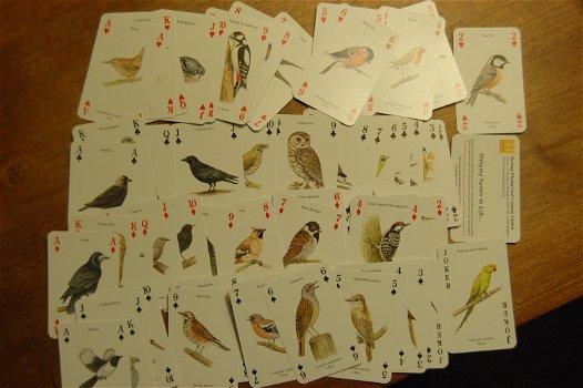 The famous Garden BIrds. Playing Cards - 2