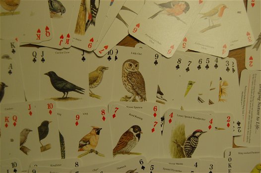 The famous Garden BIrds. Playing Cards - 3