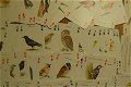 The famous Garden BIrds. Playing Cards - 3 - Thumbnail