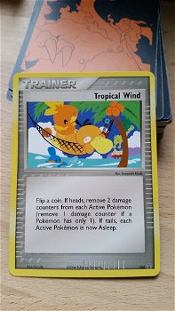 Tropical Wind 026 Promo - 0