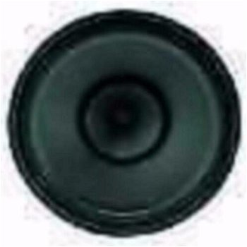 Gitaar 30 Cm breedband speaker 120 Watt (1011-BO) - 1