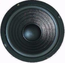 Subwoofer 13 cm 75 Watt 4 en 8 Ohm (7201-D)