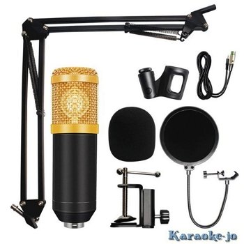 Studio Condensator Microfoon set compleet, Arm, Kabel Etc. - 1