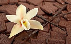 Chocolade/ Vanille Geurolie voor Kaarsen 10ml