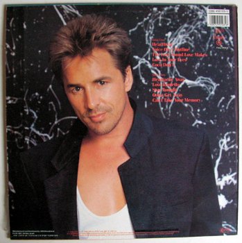 Don Johnson Heartbeat 10 nrs LP 1986 made in Israël ZGAN - 4