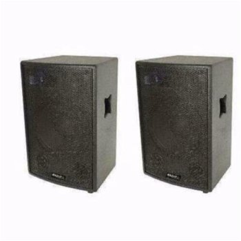 3 Weg Disco Zang speakers 12 Inch 1200 Watt Max (115B) - 0