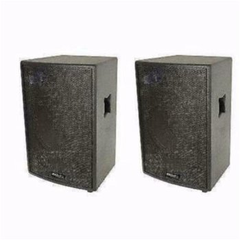 3 Weg Disco Zang speakers 10 Inch 600 Watt Max (118B) - 0
