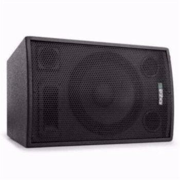 Professionele Ibiza 15 Inch 700 Watt Speaker (2116-B) - 2