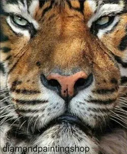 Diamond painting Tiger L