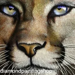 Diamond painting lion 2 L