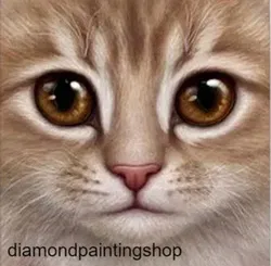Diamond painting cat L